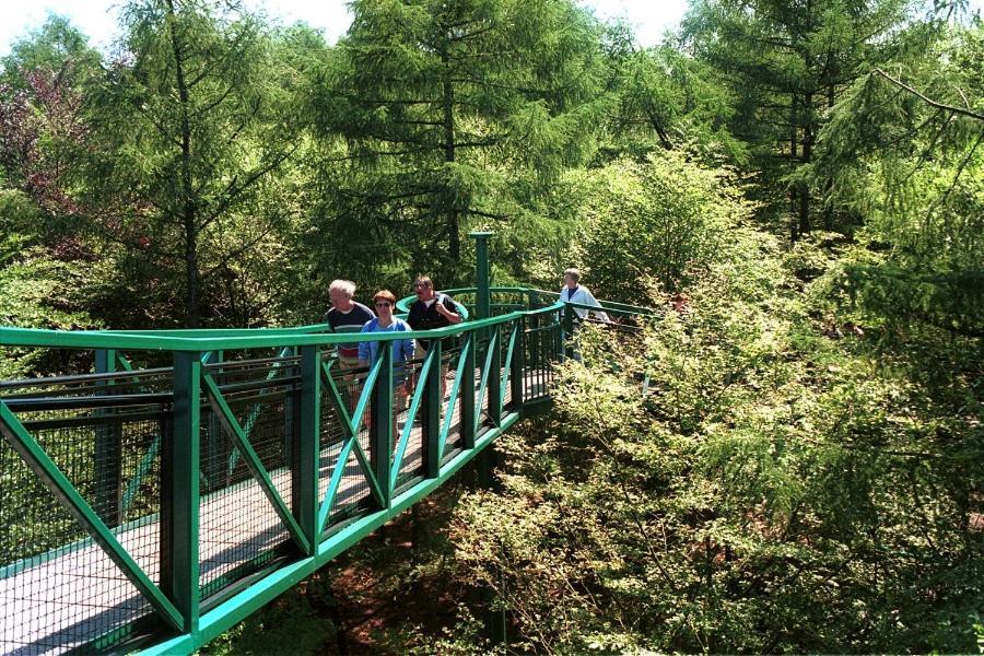 Chalet 15 "De Tien Heugten" Vakantiepark Schoonloo المظهر الخارجي الصورة